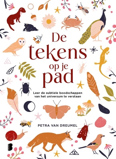 Afbeelding van De tekens op je pad