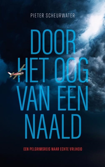 Afbeelding van Door het oog van een naald