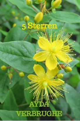 Afbeeldingen van 5 Sterren