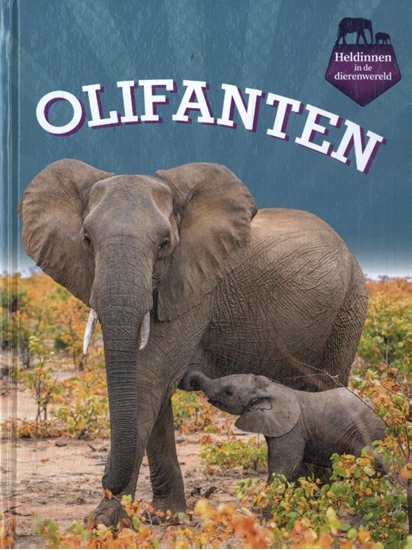 Afbeelding van Heldinnen in de dierenwereld Olifanten