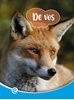 Afbeelding van Mini Informatie De vos