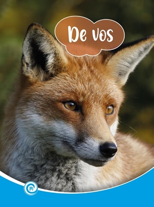 Afbeeldingen van Mini Informatie De vos