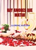 Afbeelding van Hay amores que matan