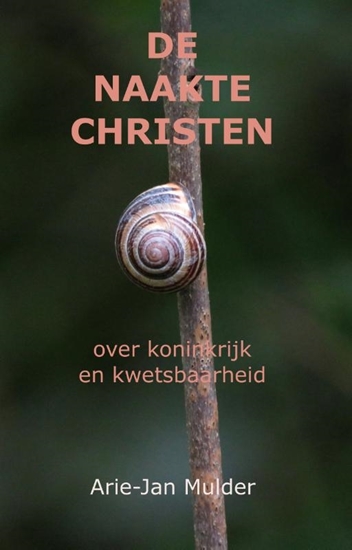 Afbeelding van De naakte christen