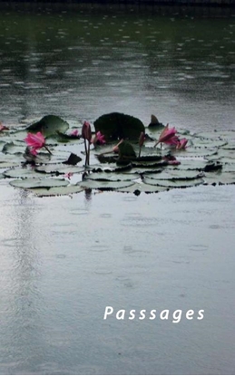 Afbeeldingen van 9789465111490