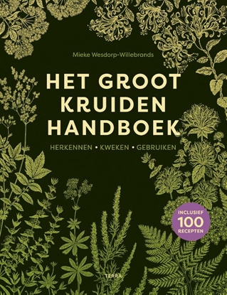 Afbeeldingen van Het groot kruidenhandboek