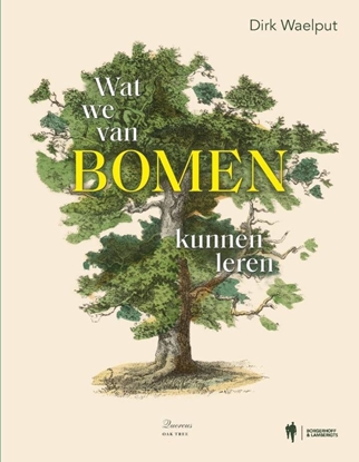 Afbeeldingen van Wat we van bomen kunnen leren