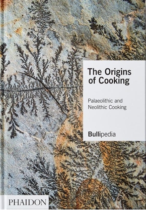 Afbeeldingen van The Origins of Cooking