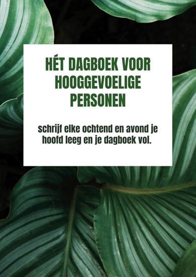 Afbeelding van Hét dagboek voor hooggevoelige personen