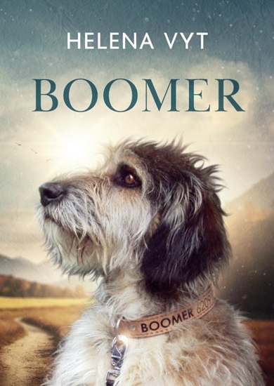Afbeelding van Boomer