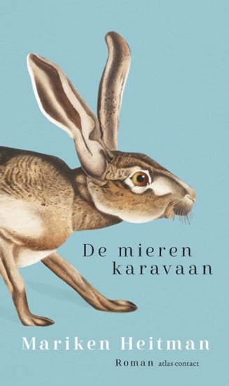 Afbeelding van De mierenkaravaan