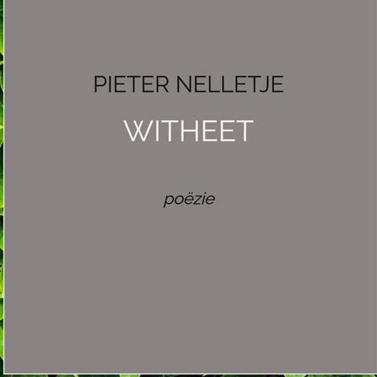 Afbeelding van WITHEET