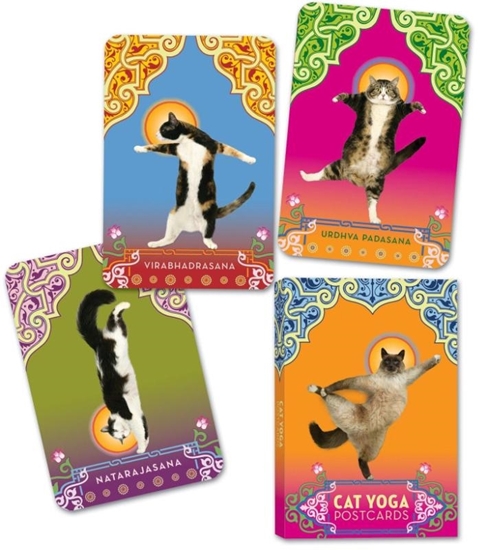 Afbeelding van Cat Yoga Postcards