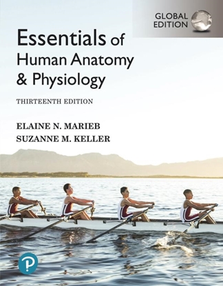 Afbeeldingen van Essentials of Human Anatomy & Physiology, Global Edition