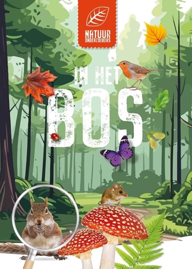Afbeelding van In het bos - Natuuronderzoekers