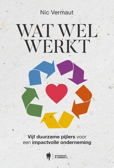 Afbeelding van Wat wel werkt