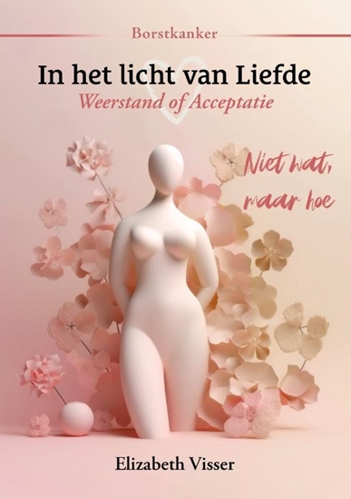 Afbeelding van In het licht van liefde