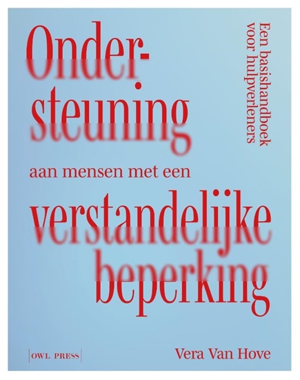 Afbeelding van Ondersteuning aan mensen met een verstandelijke beperking