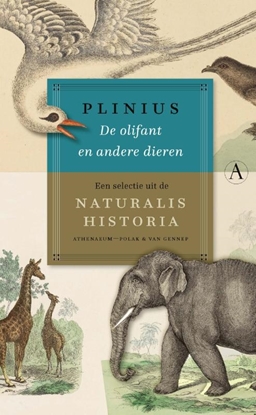 Afbeeldingen van De olifant en andere dieren