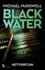 Afbeelding van Blackwater Het fortuin