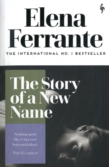 Afbeelding van Neapolitan Quartet The Story of a New Name