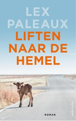 Afbeeldingen van Liften naar de hemel
