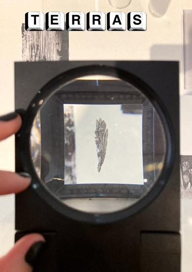 Afbeelding van Terras 26 'Magia/No magia'