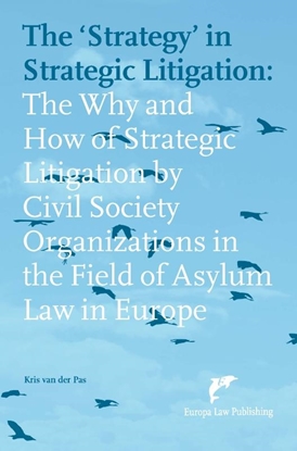 Afbeeldingen van The ‘Strategy’ in Strategic Litigation