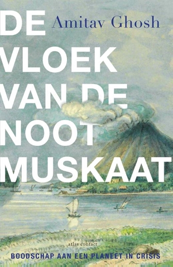 Afbeelding van De vloek van de nootmuskaat