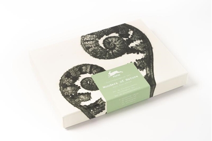 Afbeeldingen van Correspondence Set Wonders of Nature