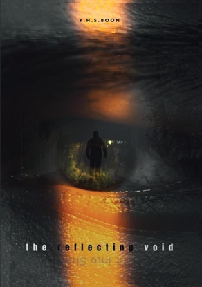 Afbeeldingen van The Reflecting Void