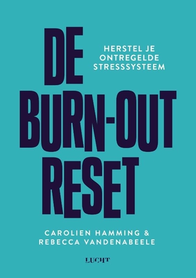 Afbeelding van De burn-out reset