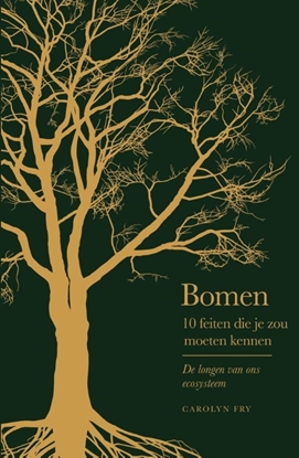 Afbeeldingen van 10 feiten die je zou moeten kennen Bomen