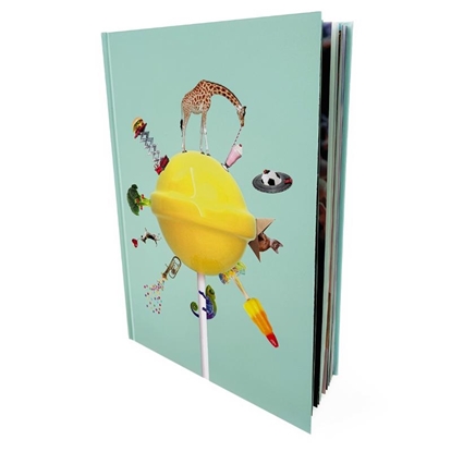 Afbeeldingen van Het grote kijkboek