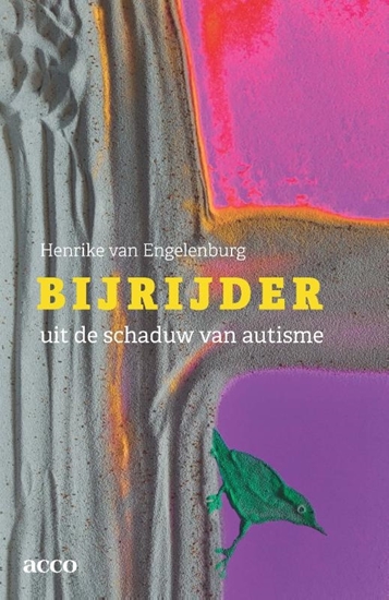 Afbeelding van Bijrijder