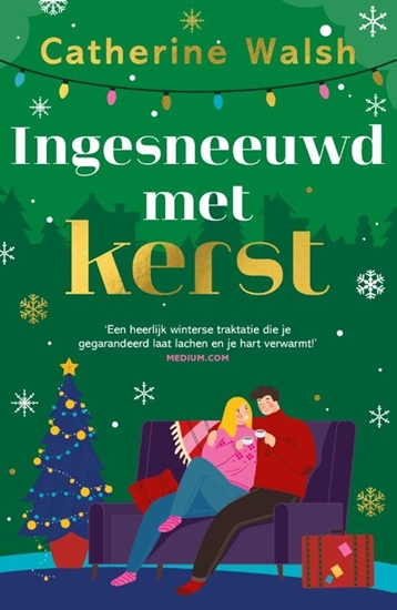 Afbeelding van Ingesneeuwd met kerst