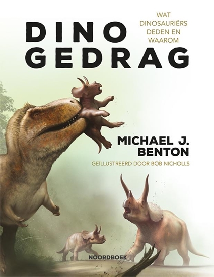 Afbeelding van Dinogedrag