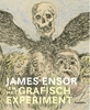 Afbeelding van James Ensor en het grafisch experiment