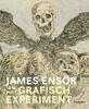 Afbeelding van James Ensor en het grafisch experiment