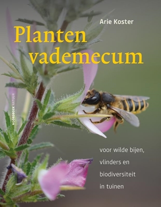 Afbeeldingen van Plantenvademecum