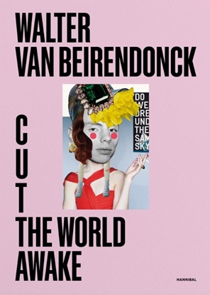 Afbeeldingen van Cut the World Awake