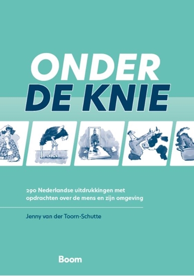 Afbeelding van Onder de knie