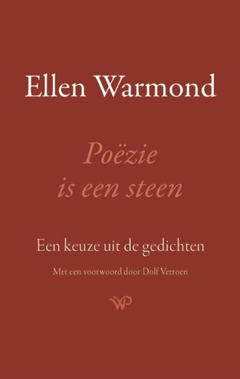 Afbeelding van Poëzie is een steen