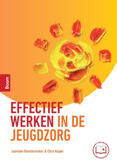 Afbeelding van Effectief werken in de jeugdzorg