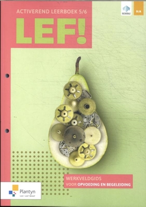 Afbeeldingen van LEF! LEF! 5/6 Activerend leerboek