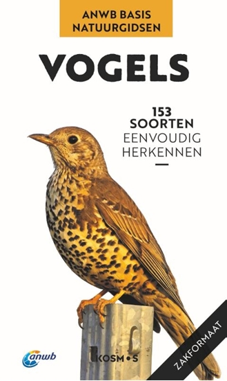 Afbeelding van ANWB Basis Natuurgids Vogels