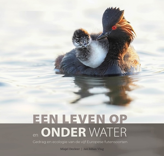 Afbeelding van Vogelfamilies Een leven op en onder water