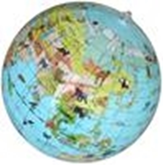 Afbeelding van Opblaasbare bol 30 dieren