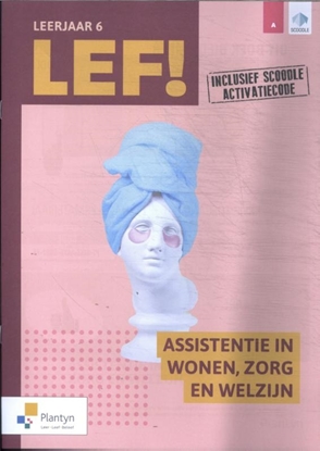 Afbeeldingen van LEF! LEF! leejaar 6