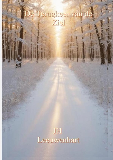 Afbeelding van De Terugkeer van de Ziel